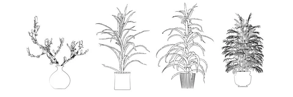 Flowers drawing Illustrazione stock