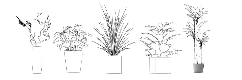 Flowers drawing Illustrazione stock