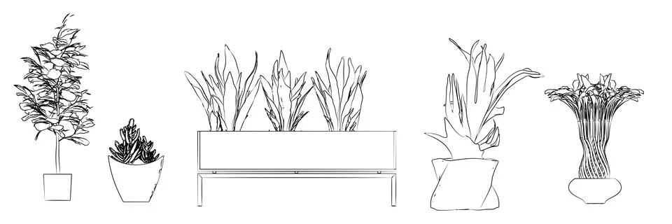 Flowers drawing Illustrazione stock