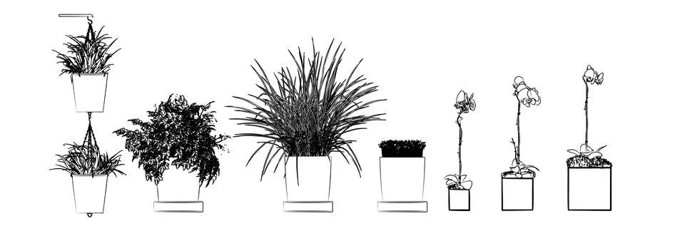 Flowers drawing Illustrazione stock