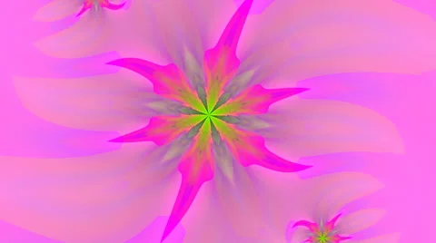 Flowers of dreams Stock Footage 45984198