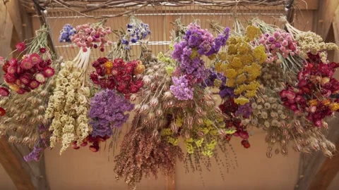 Flowers drying in barn Stock Footage 311518355