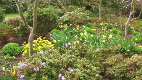 Flowers during spring time Stock Footage 273929623