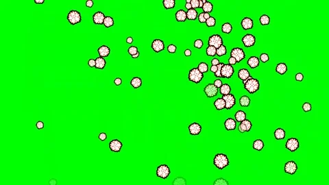 Flowers Dynamic - Chroma Key Green Screen Footage Video stock 337397161