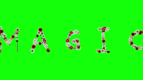 Flowers Dynamic - Chroma Key Green Screen Footage Stock Footage 337996539