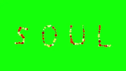 Flowers Dynamic - Chroma Key Green Screen Footage Video stock 337996727