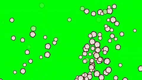 Flowers Dynamic on Green Screen Chroma Key Background 動画素材 337397168