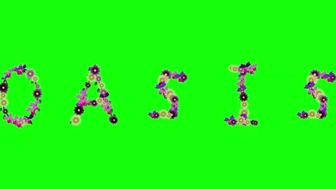 Flowers Dynamic on Green Screen Chroma Key Background Stock Footage 337996584