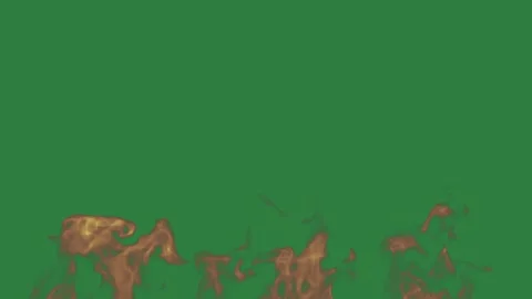 Flowers Dynamic Isolated Green Screen Stock Video Stock Footage 338015054