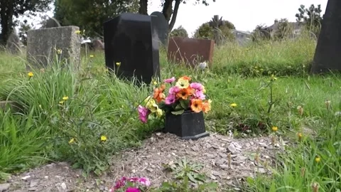 Flowers on an earthen grave 動画素材 138527538