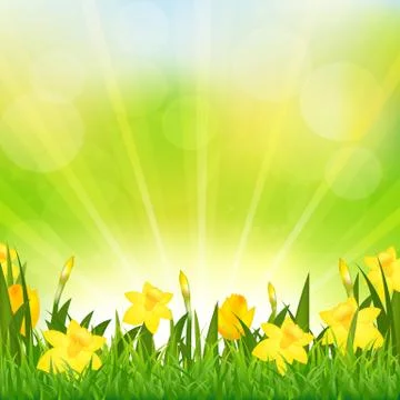 Flowers easter background Stock Illustration