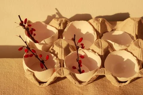 Flowers in easter eggshell Stock Photos