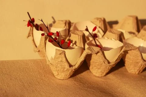 Flowers in easter eggshell Stock Photos