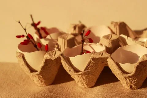 Flowers in easter eggshell Stock Photos