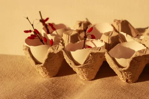 Flowers in easter eggshell 写真素材