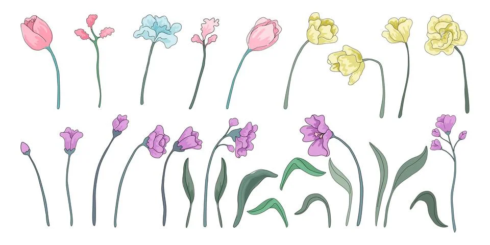 Flowers elements Stock Illustration