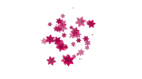 Flowers Emitter Particles Random, Flowers Particles Stock Footage 144200426