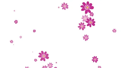 Flowers Emitter Particles Random, Flowers Particles Stock Footage 144200434