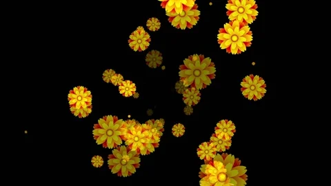 Flowers Emitter Particles Random, Flowers Particles Stock Footage 144200500