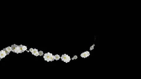 Flowers Emitter Particles Random, Flowers Particles Stock Footage 144200580