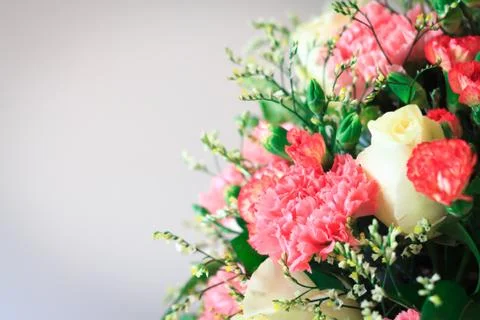 Flowers on empty space for some text Stock Photos