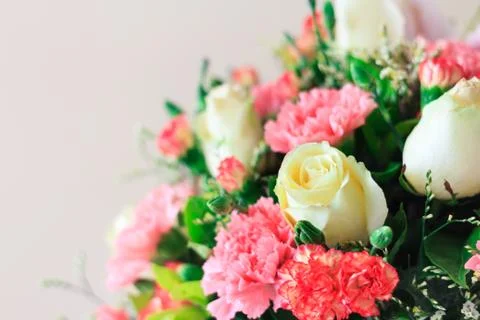 Flowers on empty space for some text Stock Photos