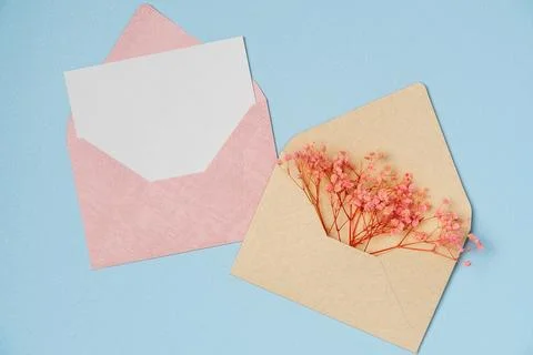Flowers in envelope with empty white paper list in envelope on blue backgroun Stock Photos