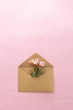 Flowers in an envelope on a pink background. Flat lay, top view. Stock Photos