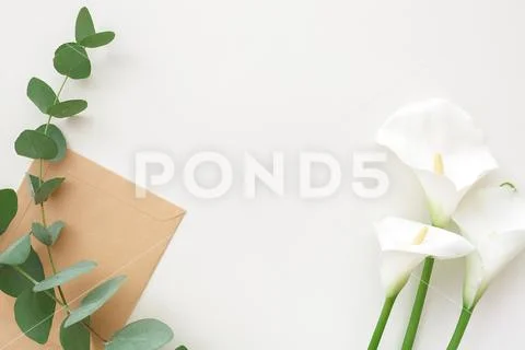 Flowers, eucalyptus and craft envelope on white background, top view. Place for Stock Photos