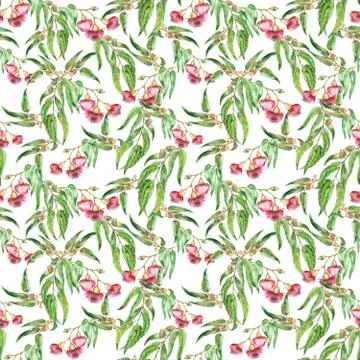 Flowers of eucalyptus seamless pattern Stock Illustration