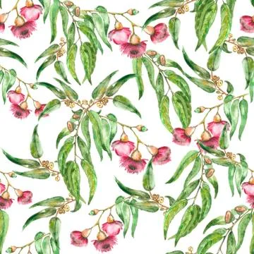 Flowers of eucalyptus seamless pattern Stock Illustration