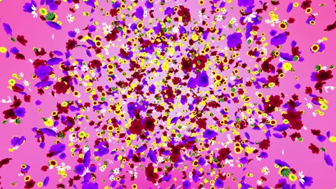 Flowers Explosion Stock Footage 169674110