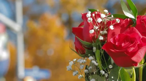 Flowers in fall by war memorial, close up, shallow dof Stock-Footage 42974424