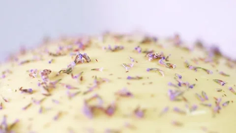 Flowers falling on the dessert. Stock Footage 142451974