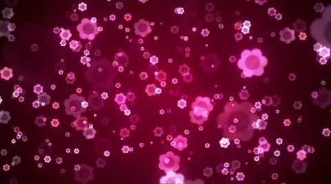 Flowers Falling Video stock 5298456