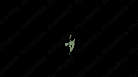 Flowers Falling Into Petals Animations for After Effects Stock After Effects