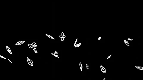 Flowers features a floating flower design on a black background Video stock 296225523