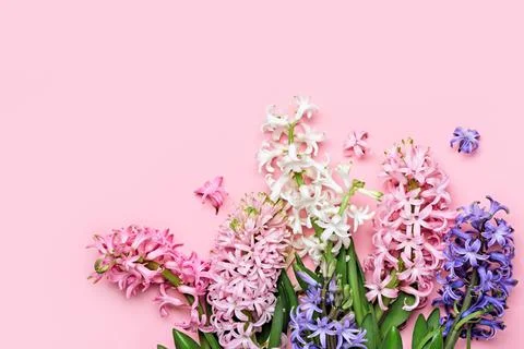 Flowers festive composition. Pink Spring or Easter Floral Background. Beautiful 写真素材
