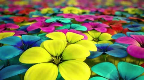 Flowers field. Video stock 21520425