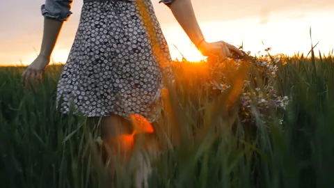 Flowers in the field. Girl in the field. Paganism. Sunset Stock Footage