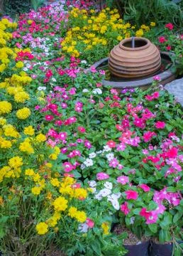 Flowers field Stock Photos