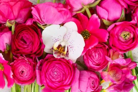 Flowers flat lay composition Stock Photos