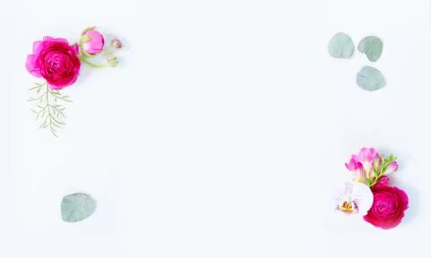 Flowers flat lay composition Stock Photos