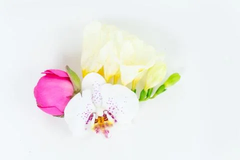 Flowers flat lay composition Stock Photos