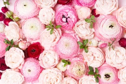 Flowers flat lay composition Stock Photos