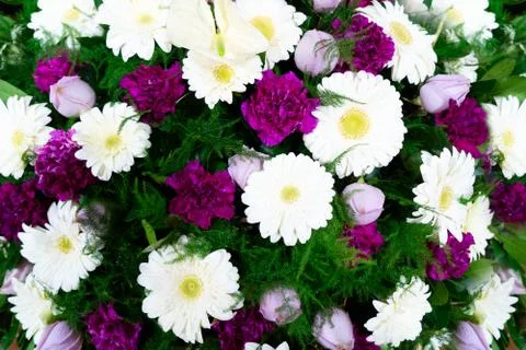 Flowers flat lay composition Stock Photos