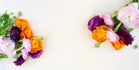 Flowers flat lay composition Stock Photos