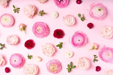 Flowers flat lay composition Stock Photos