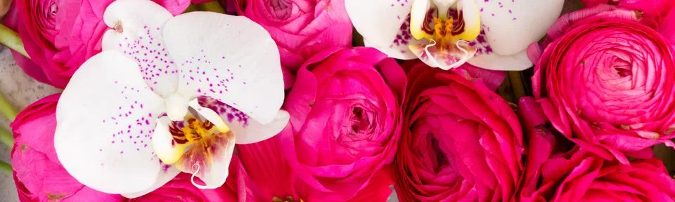 Flowers flat lay composition Stock Photos