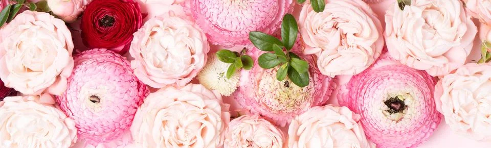 Flowers flat lay composition Stock Photos